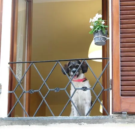 Domus Etrusca Apartman Orvieto